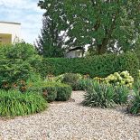 Drzewa i krzewy przyjechały już duże. Kosić trzeba tylko trawnik, wszystko inne rośnie samo jak na drożdżach. Oto ogród