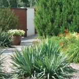 Drzewa i krzewy przyjechały już duże. Kosić trzeba tylko trawnik, wszystko inne rośnie samo jak na drożdżach. Oto ogród