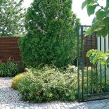 Drzewa i krzewy przyjechały już duże. Kosić trzeba tylko trawnik, wszystko inne rośnie samo jak na drożdżach. Oto ogród