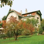 Drzewka owocowe w ogrodzie