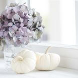 biała dynia pomysły na dekoracje