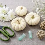 dekoracja z białej dyni krok po kroku