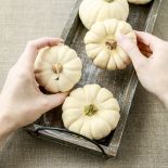 dekoracja z dyni krok po kroku