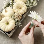 dynia na Halloween – jak ją przygotować