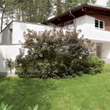 Działka, na której stoi dom, była jedną z dwóch, jakie Maja obejrzała. - Zachwyciła mnie cisza, bliskość lasu i