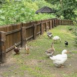 Dziełem projektantów są też taras, brama, mostki, altana, lampy i kurnik.