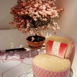 Edward van Vliet- Kolekcja Sushi, Moroso