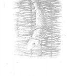 Ela Dudek tworzy misterne grafiki z tysiąca czarnych kresek.