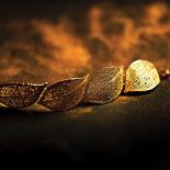 Ewa Rudowska wyczyszczone fragmenty liści pokrywa miedzią, galwanizuje srebrem albo złotem, a potem układa w