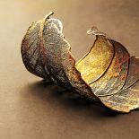 Ewa Rudowska wyczyszczone fragmenty liści pokrywa miedzią, galwanizuje srebrem albo złotem, a potem układa w