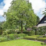 Fantazyjne żywopłoty. W cieniu wysokich drzew