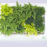 Florabo, Florama, fot. Lódź Design 2012