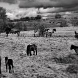 Fotografia Tomasza Tomaszewskiego. Sztuka patrzenia