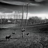 Fotografia Tomasza Tomaszewskiego. Sztuka patrzenia