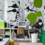 Fototapeta z brzozami, czyli nowe właściwości znanego drzewa