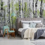 Fototapeta z brzozami, czyli nowe właściwości znanego drzewa