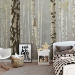 Fototapeta z brzozami, czyli nowe właściwości znanego drzewa