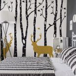 Fototapeta z brzozami, czyli nowe właściwości znanego drzewa