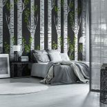 Fototapeta z brzozami, czyli nowe właściwości znanego drzewa