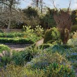 ogród angielski aranżacja