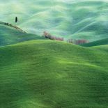 Zdjęcia Marcina Sochy