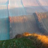 Zdjęcia Marcina Sochy