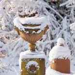 Ogród piękny zimą