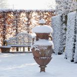 Ogród piękny zimą