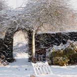 Ogród piękny zimą