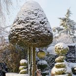 Ogród piękny zimą