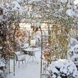 Ogród piękny zimą