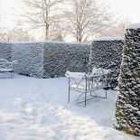 Ogród piękny zimą