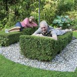 Gęste krzewy uformowane tak, że spokojnie można się na nich położyć.