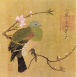 Gołąb na drzewie brzoskwiniowym , Zhao Ji, 1107-1108 r.