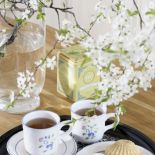 Gospodarze uwielbiają antykwariaty. W kamienicy ze sztuką