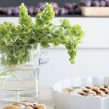 Gospodarzy skusiła niesamowita panorama - miasto jak na dłoni, niebo aż po horyzont.