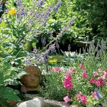 Gospodyni najbardziej lubi rośliny kwitnące w zimnych barwach, więc w ogrodzie dominują biel, fiolet, błękit i róż.