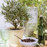 Greenery: Pantone kolor roku 2017