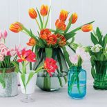 Greenery: Pantone kolor roku 2017