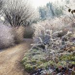 Anglesey Abbey w zimowej szacie