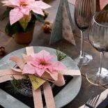 gwiazdy betlejemskie pięknie przyozdobią nakrycia dla gości