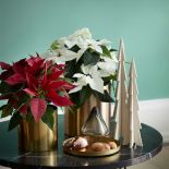 dekoracje bożonarodzeniowe z gwiazdą betlejemską