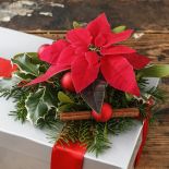 Poinsecja to wdzięczny materiał do tworzenia dekoracji.