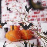 Czarne nietoperze mogą wylądować na kwiatkach, na oknie lub na talerzu.