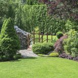 Hodowlane krwawniki, jeżówki, a tłem są, jak tutaj, żywopłoty grabowe i cisowe przypominające kaskady.