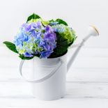 pomysły na dekoracje z hortensji