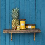 ICandle - rozpal zmysły!