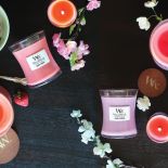 ICandle - rozpal zmysły!