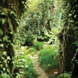 Idąc tą ścieżką, czujemy się jak w zaczarowanym ogrodzie.