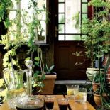 Idealne miejsce na chwilę relaksu w słoneczne dni.